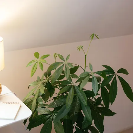 Jama - Altstadt, Wlan, Arbeitsplatz, Modern Boho #3 Wurzburg
